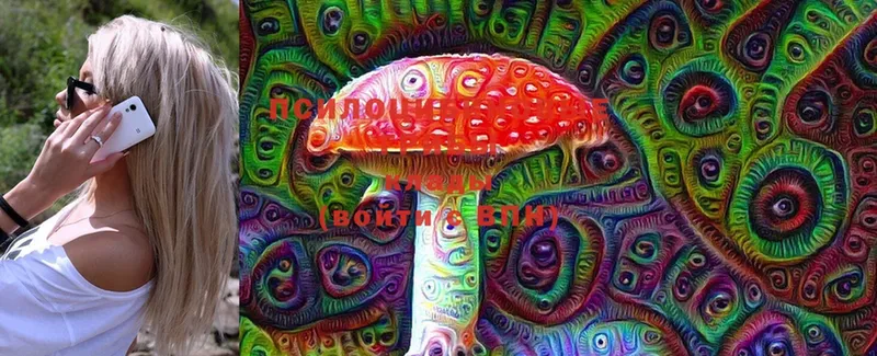 Псилоцибиновые грибы Magic Shrooms  hydra ссылки  Нальчик 